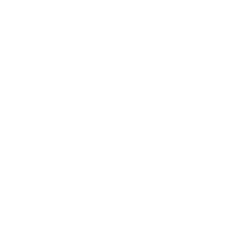 directors guild of america steve burrows